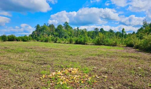 Photo #25 of Off Chance Blvd, Robersonville, NC 34.4 acres