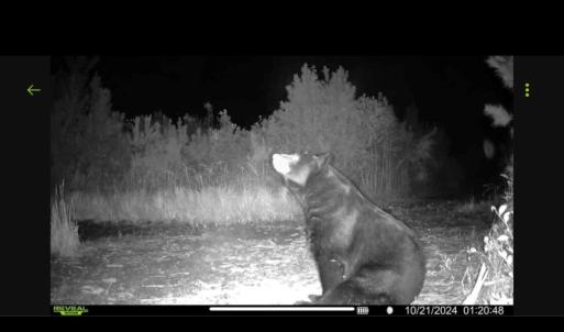 Photo #27 of Off Chance Blvd, Robersonville, NC 34.4 acres