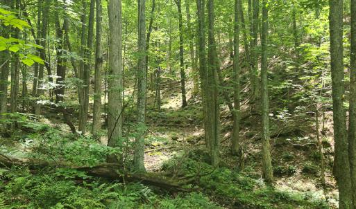 Photo #1 of Off Ravens Ridge, Lot H, Pearisburg, VA 34.3 acres