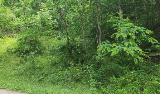 Photo #3 of Off Ravens Ridge, Lot H, Pearisburg, VA 34.3 acres