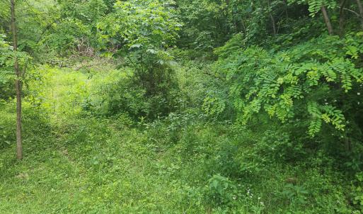 Photo #4 of Off Ravens Ridge, Lot H, Pearisburg, VA 34.3 acres