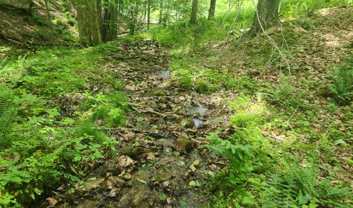 Photo #9 of Off Ravens Ridge, Lot H, Pearisburg, VA 34.3 acres