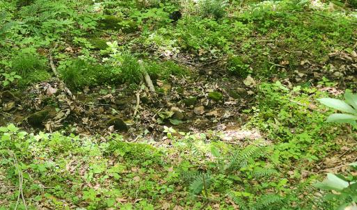 Photo #11 of Off Ravens Ridge, Lot H, Pearisburg, VA 34.3 acres