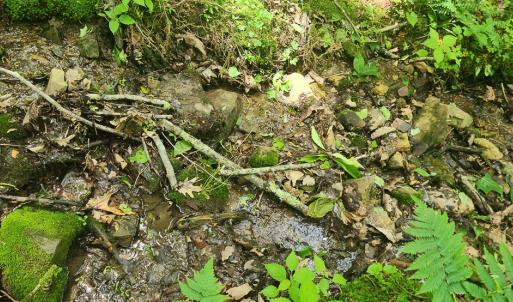 Photo #12 of Off Ravens Ridge, Lot H, Pearisburg, VA 34.3 acres
