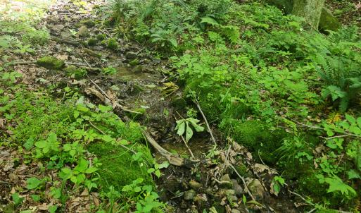 Photo #16 of Off Ravens Ridge, Lot H, Pearisburg, VA 34.3 acres