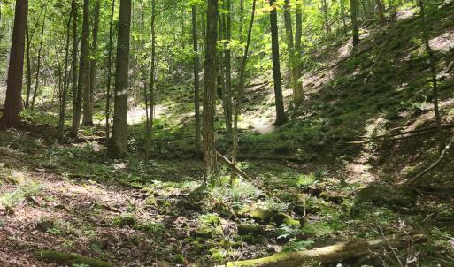 Photo #17 of Off Ravens Ridge, Lot H, Pearisburg, VA 34.3 acres