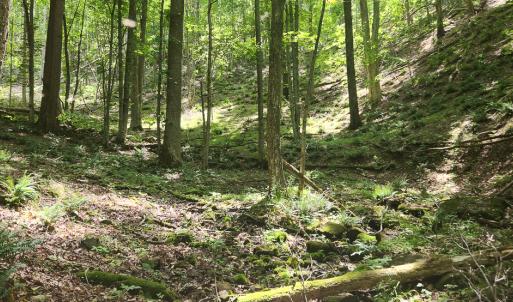 Photo #18 of Off Ravens Ridge, Lot H, Pearisburg, VA 34.3 acres