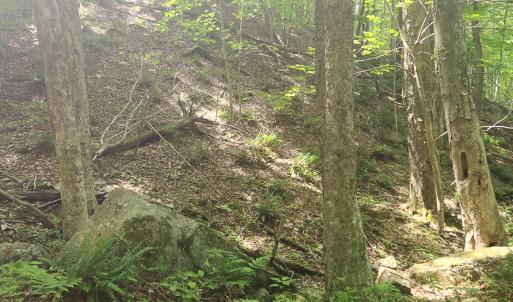 Photo #19 of Off Ravens Ridge, Lot H, Pearisburg, VA 34.3 acres