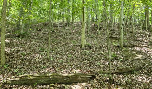 Photo #22 of Off Ravens Ridge, Lot H, Pearisburg, VA 34.3 acres