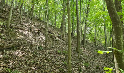 Photo #23 of Off Ravens Ridge, Lot H, Pearisburg, VA 34.3 acres