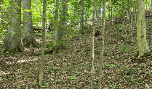 Photo #24 of Off Ravens Ridge, Lot H, Pearisburg, VA 34.3 acres