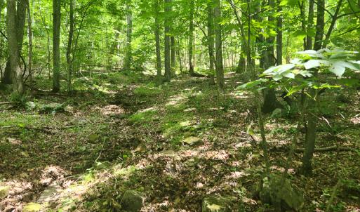 Photo #25 of Off Ravens Ridge, Lot H, Pearisburg, VA 34.3 acres