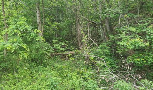 Photo #28 of Off Ravens Ridge, Lot H, Pearisburg, VA 34.3 acres