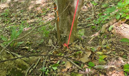 Photo #29 of Off Ravens Ridge, Lot H, Pearisburg, VA 34.3 acres