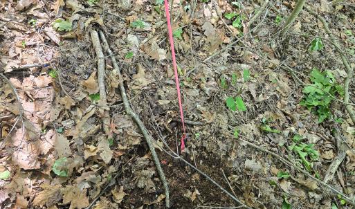 Photo #30 of Off Ravens Ridge, Lot H, Pearisburg, VA 34.3 acres