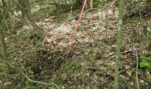 Photo #31 of Off Ravens Ridge, Lot H, Pearisburg, VA 34.3 acres