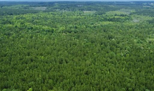 Photo #9 of Off Wayside Ln, Bunnlevel, NC 25.5 acres