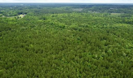 Photo #11 of Off Wayside Ln, Bunnlevel, NC 25.5 acres