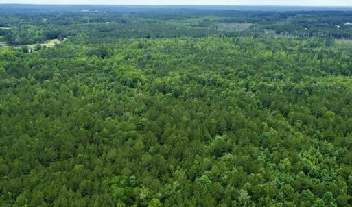 Photo #13 of Off Wayside Ln, Bunnlevel, NC 25.5 acres