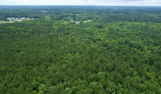 Photo #15 of Off Wayside Ln, Bunnlevel, NC 25.5 acres