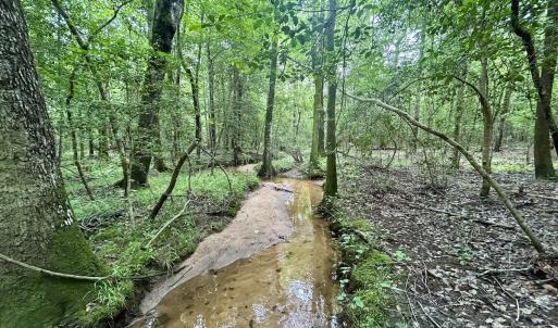 Photo #16 of Off Wayside Ln, Bunnlevel, NC 25.5 acres