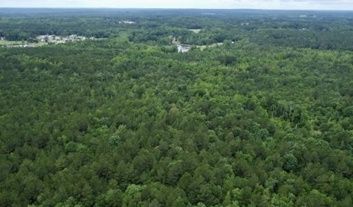 Photo #17 of Off Wayside Ln, Bunnlevel, NC 25.5 acres