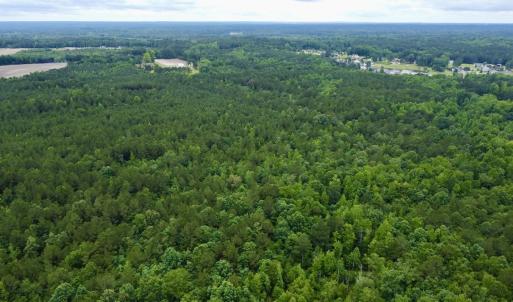Photo #19 of Off Wayside Ln, Bunnlevel, NC 25.5 acres