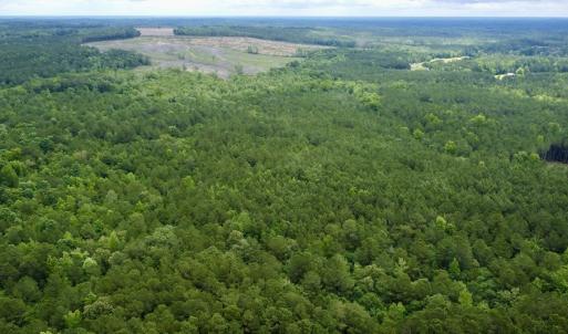 Photo #1 of Off Wayside Ln, Bunnlevel, NC 25.5 acres