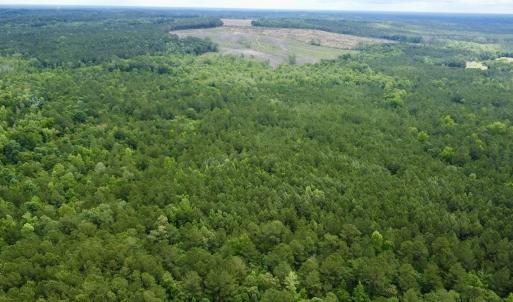 Photo #3 of Off Wayside Ln, Bunnlevel, NC 25.5 acres