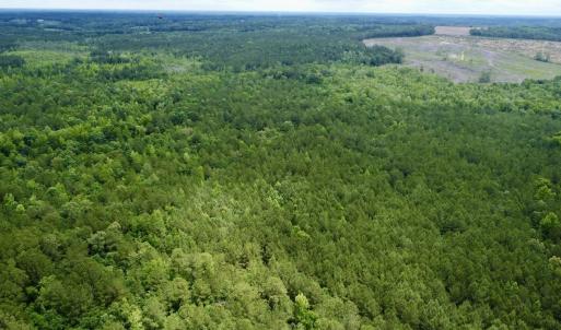 Photo #5 of Off Wayside Ln, Bunnlevel, NC 25.5 acres