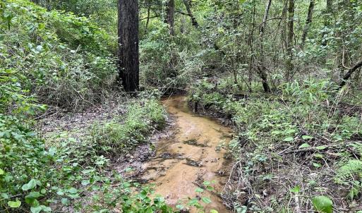 Photo #6 of Off Wayside Ln, Bunnlevel, NC 25.5 acres