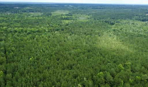 Photo #7 of Off Wayside Ln, Bunnlevel, NC 25.5 acres