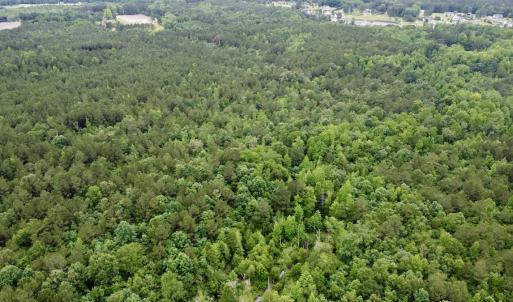 Photo #21 of Off Wayside Ln, Bunnlevel, NC 25.5 acres