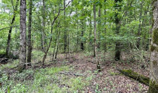 Photo #23 of Off Wayside Ln, Bunnlevel, NC 25.5 acres