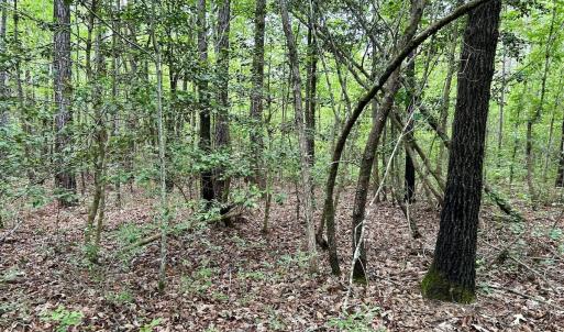 Photo #25 of Off Wayside Ln, Bunnlevel, NC 25.5 acres