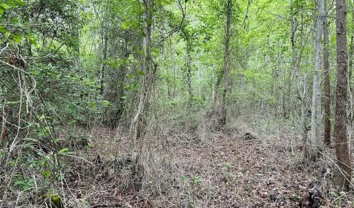 Photo #31 of Off Wayside Ln, Bunnlevel, NC 25.5 acres