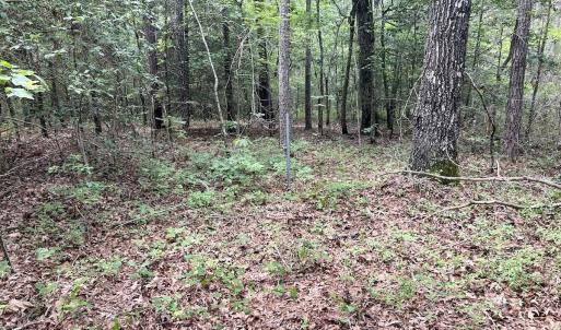 Photo #33 of Off Wayside Ln, Bunnlevel, NC 25.5 acres