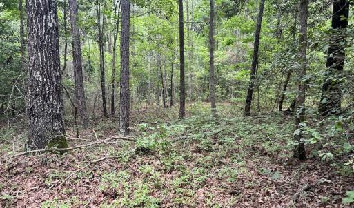 Photo #34 of Off Wayside Ln, Bunnlevel, NC 25.5 acres