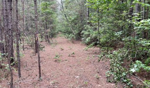 Photo #37 of Off Wayside Ln, Bunnlevel, NC 25.5 acres
