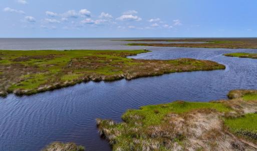 Photo #11 of Off Farrow Rd, Swan Quarter, NC 90.0 acres