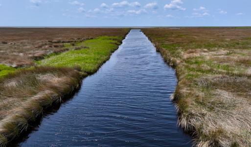 Photo #12 of Off Farrow Rd, Swan Quarter, NC 90.0 acres