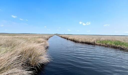 Photo #13 of Off Farrow Rd, Swan Quarter, NC 90.0 acres