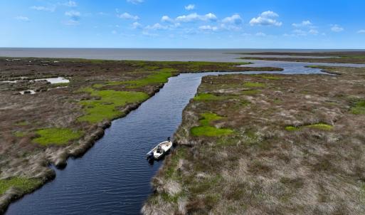 Photo #14 of Off Farrow Rd, Swan Quarter, NC 90.0 acres