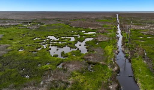 Photo #15 of Off Farrow Rd, Swan Quarter, NC 90.0 acres