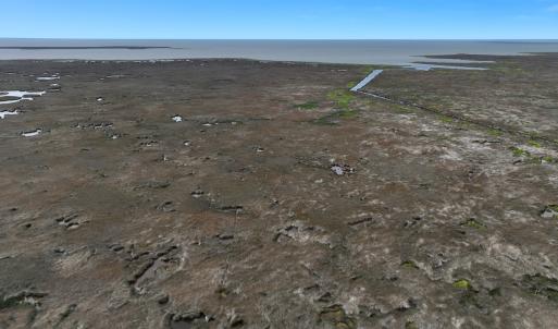 Photo #18 of Off Farrow Rd, Swan Quarter, NC 90.0 acres