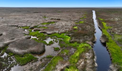 Photo #19 of Off Farrow Rd, Swan Quarter, NC 90.0 acres