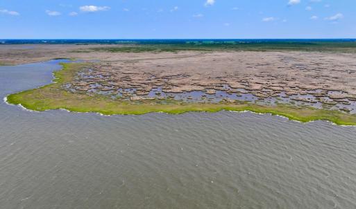 Photo #1 of Off Farrow Rd, Swan Quarter, NC 90.0 acres