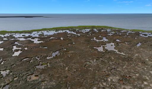 Photo #5 of Off Farrow Rd, Swan Quarter, NC 90.0 acres