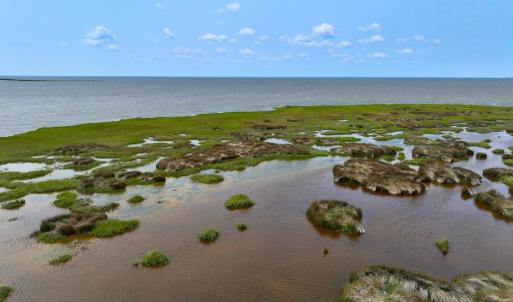 Photo #22 of Off Farrow Rd, Swan Quarter, NC 90.0 acres