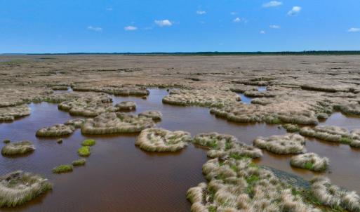Photo #24 of Off Farrow Rd, Swan Quarter, NC 90.0 acres